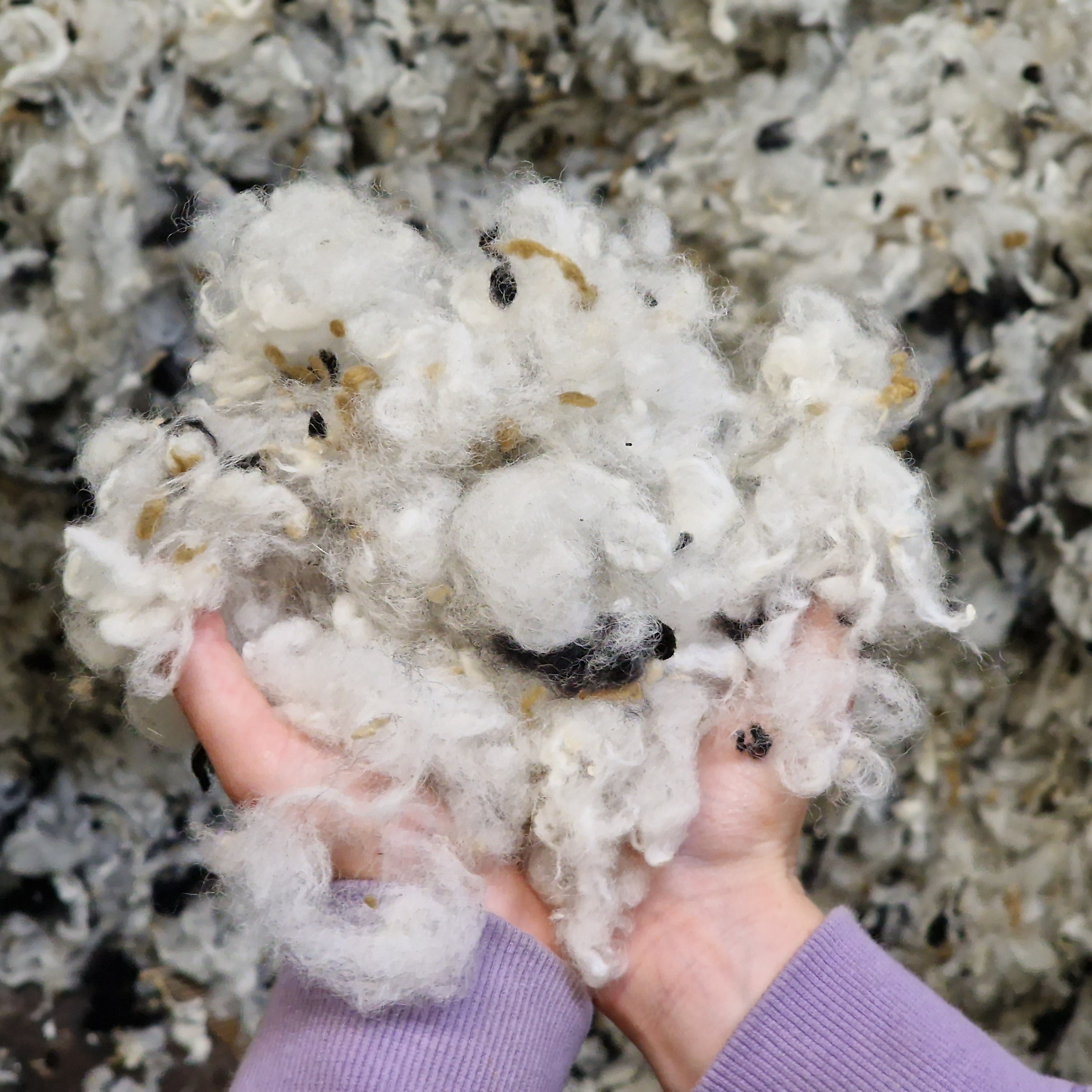 Donegal Yarns - The Genuine Donegal