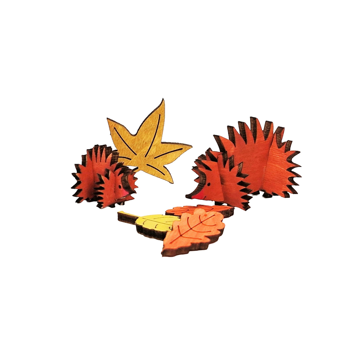 Hedgehog Wooden Craft Kit