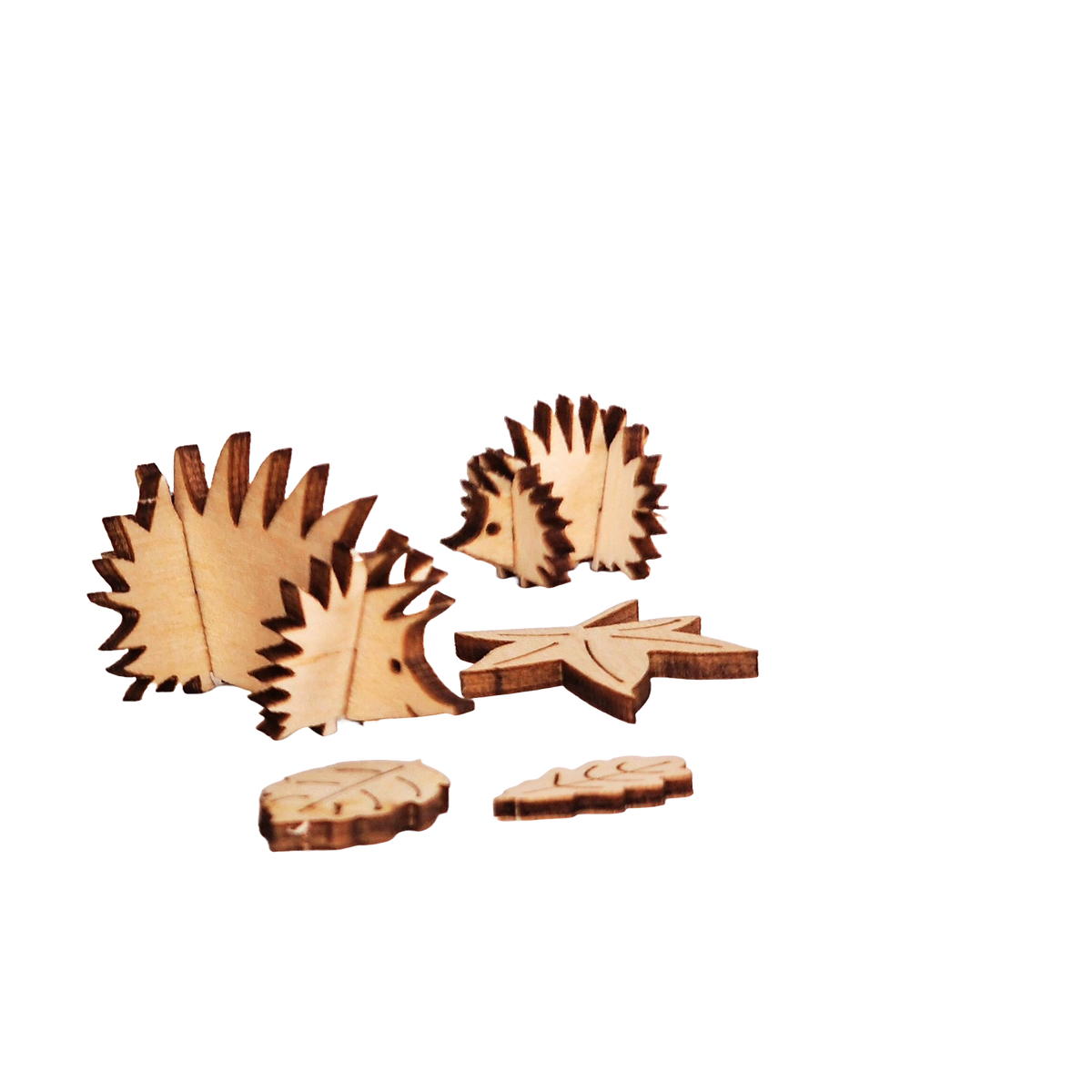 Unpainted birch plywood hedgehogs and three leaves from the Hedgehog Wooden Craft Kit