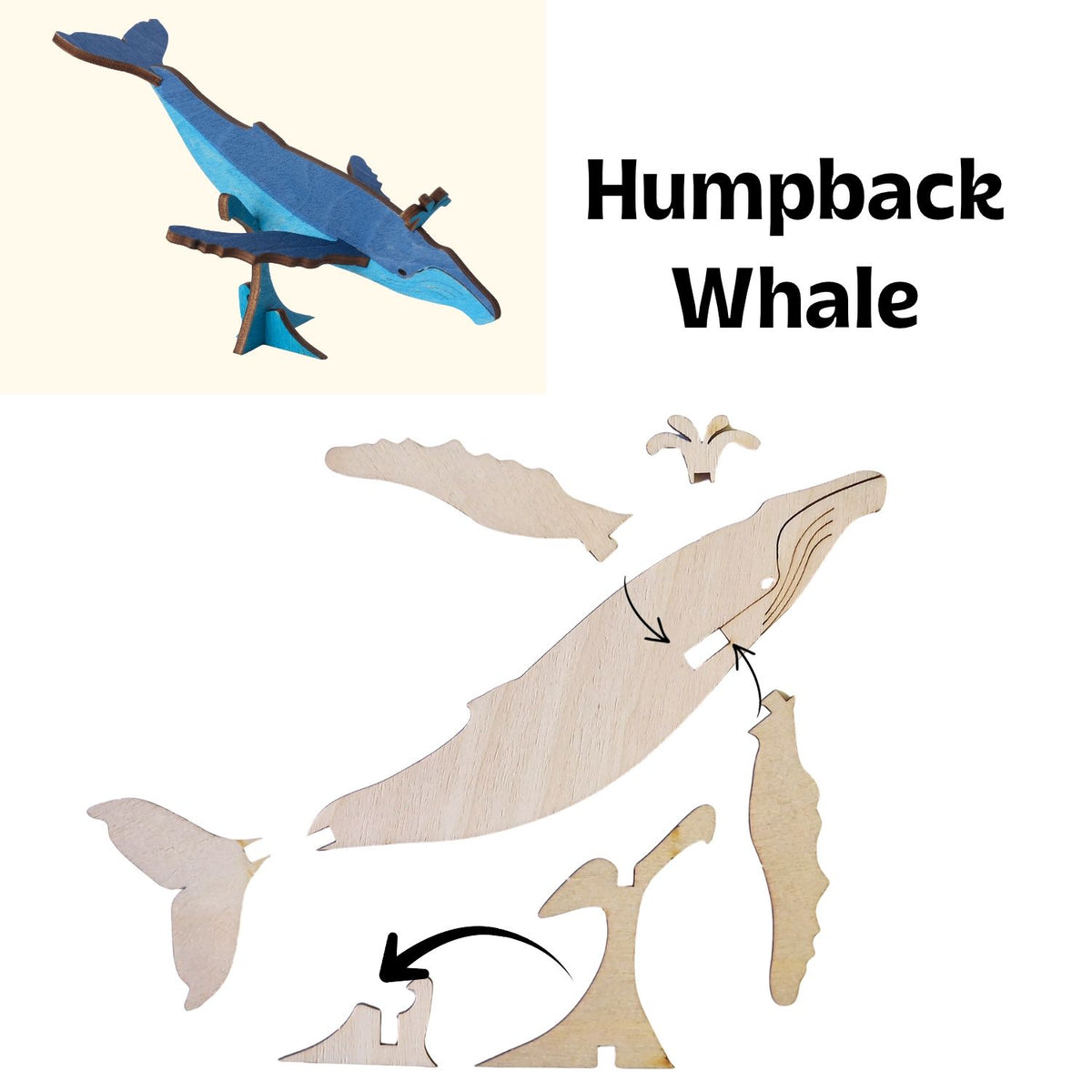Assembly instructions for the Humpback Whale Wooden Craft Kit
