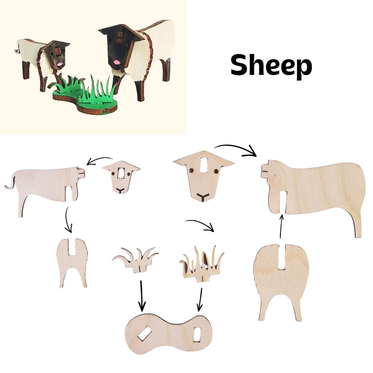 Assembly instructions for the Sheep Wooden Craft Kit